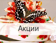 Бижутерия по акции